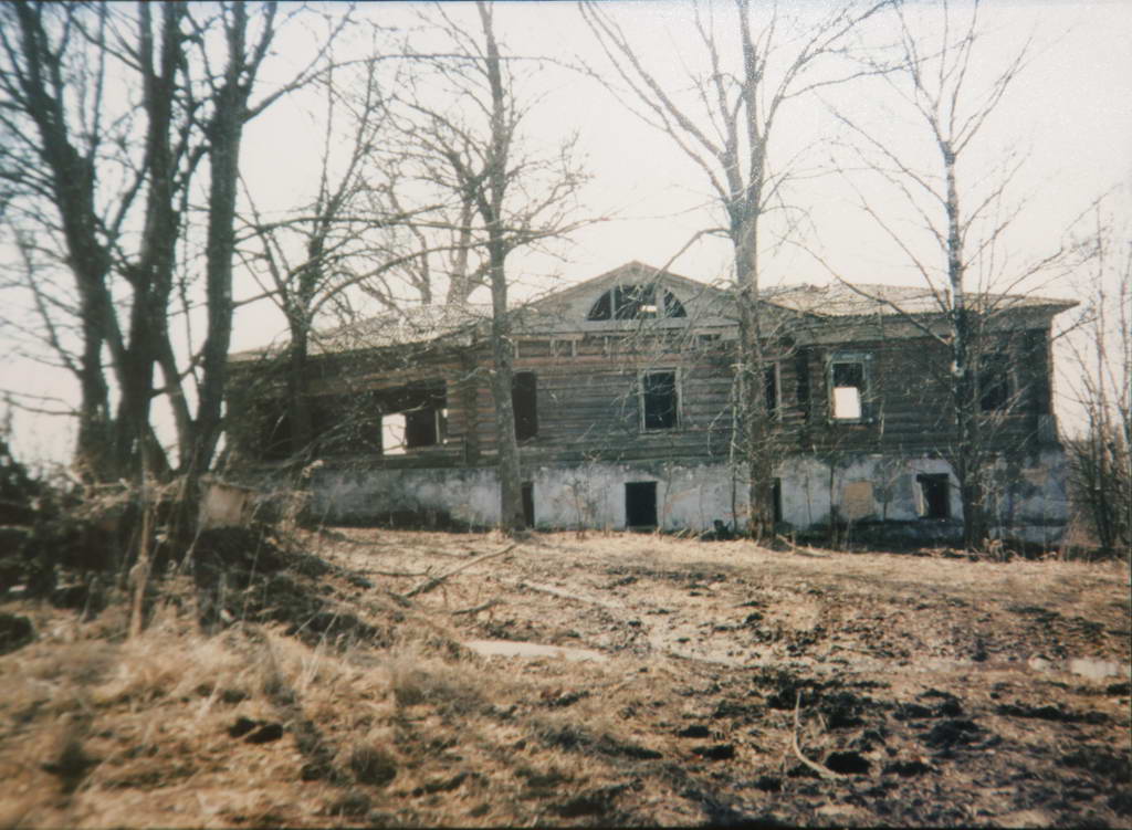 Родичего Старый усадебный дом, вид с запада