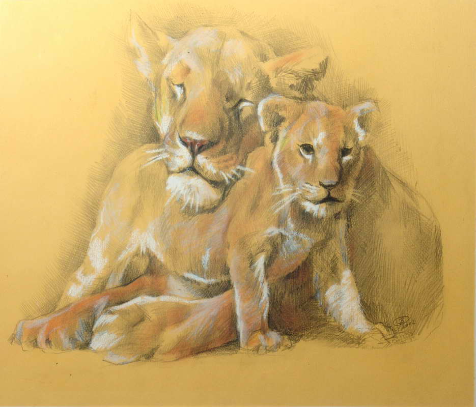 "Львы"  рисунок Дарьи Чужой